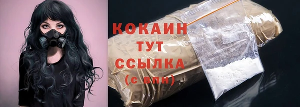 дживик Алзамай