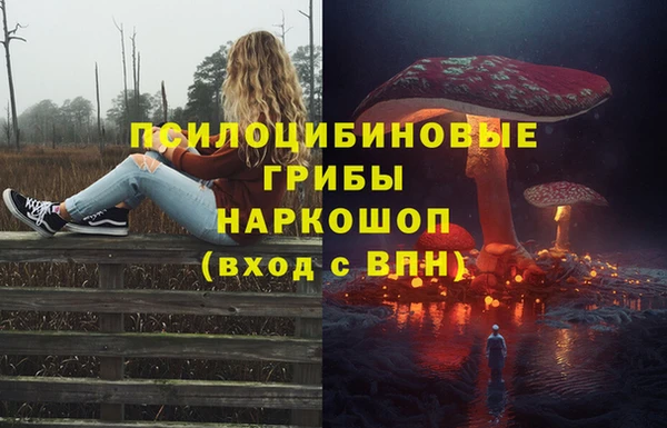 спайс Алексин