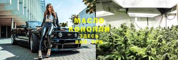 шишки Кодинск