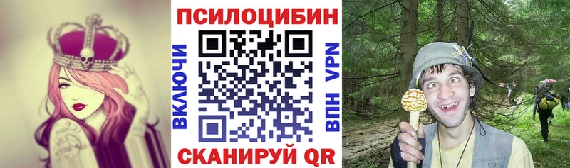 закладки  Малоархангельск  mega как войти  Псилоцибиновые грибы прущие грибы 